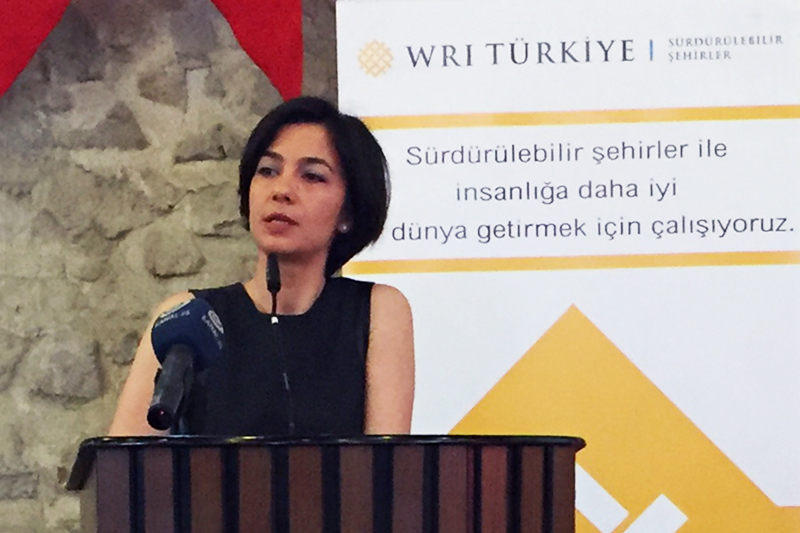 Arzu Tekir, WRI Turkey Director.